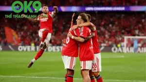 Benfica sẽ có khởi đầu suôn sẻ trước Qarabag. (Ảnh: Internet)